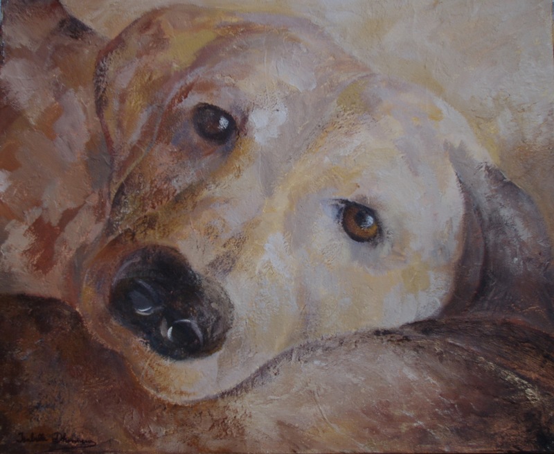 Labrador