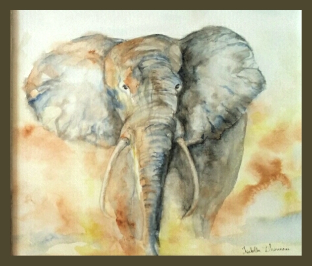 dhonneur_elephant