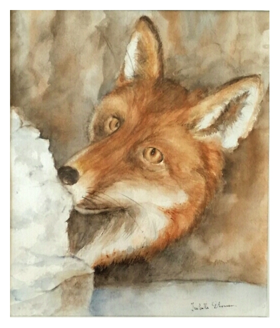 Renard
